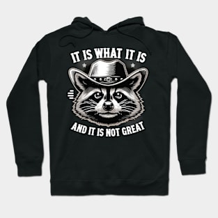 It Is What It Is Raccoon Cowboy Hat Meme Funny Hoodie